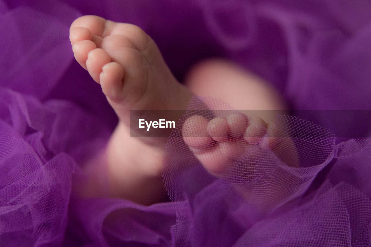 Low section of baby on purple netting