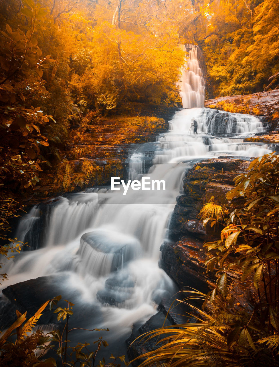 autumn, beauty in nature, scenics - nature, water, tree, nature, forest, waterfall, land, environment, leaf, plant, motion, plant part, landscape, rock, long exposure, flowing water, no people, stream, travel destinations, outdoors, non-urban scene, idyllic, river, body of water, flowing, travel, falling, fog, woodland, blurred motion, orange color, tourism, reflection, tranquil scene, tranquility, holiday, vacation