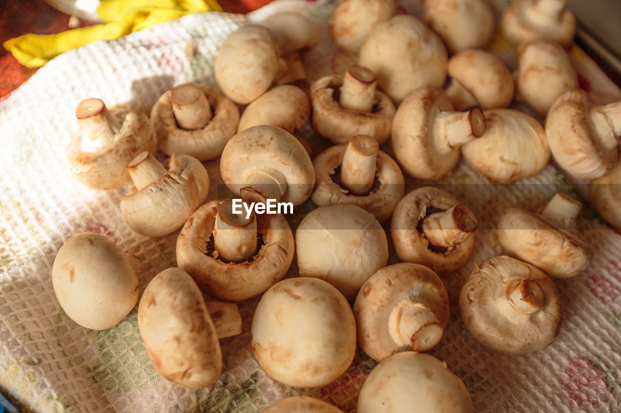 HIGH ANGLE VIEW OF MUSHROOMS IN PLATE