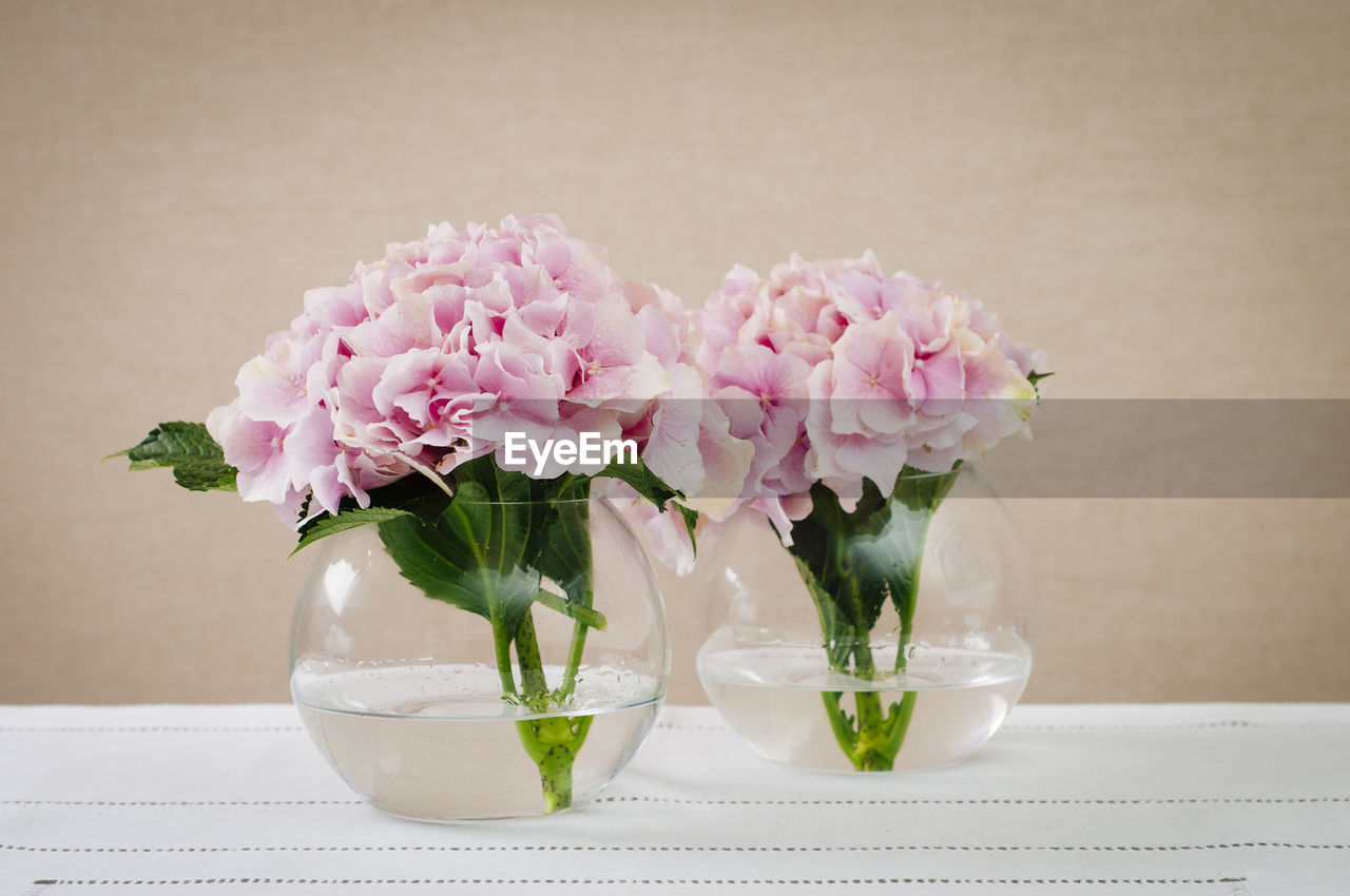 CLOSE-UP OF FLOWERS IN VASE