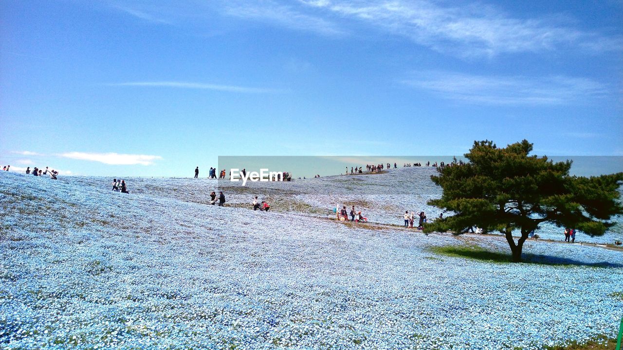 Scenic landscape against blue sky