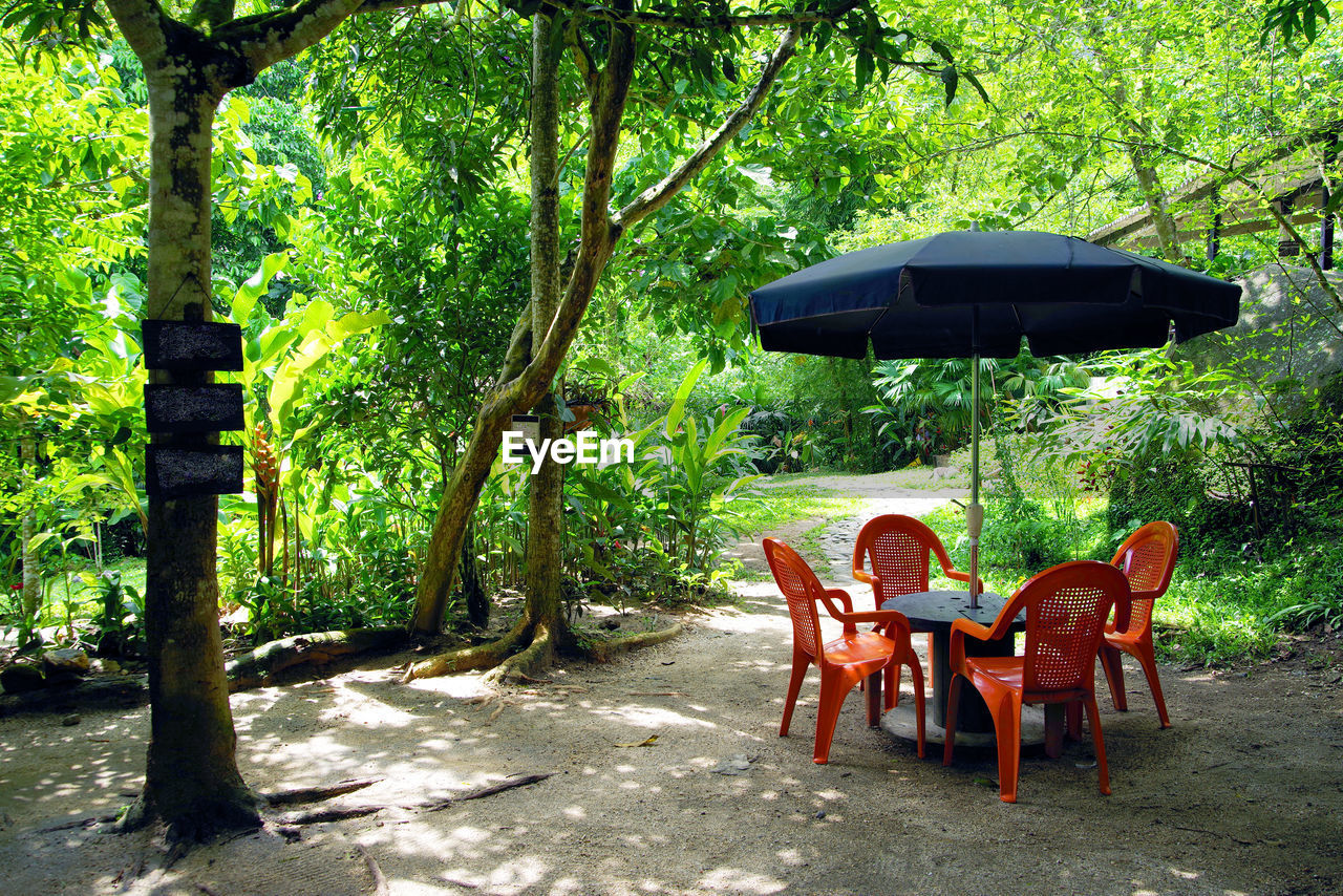 Empty chairs and table in park