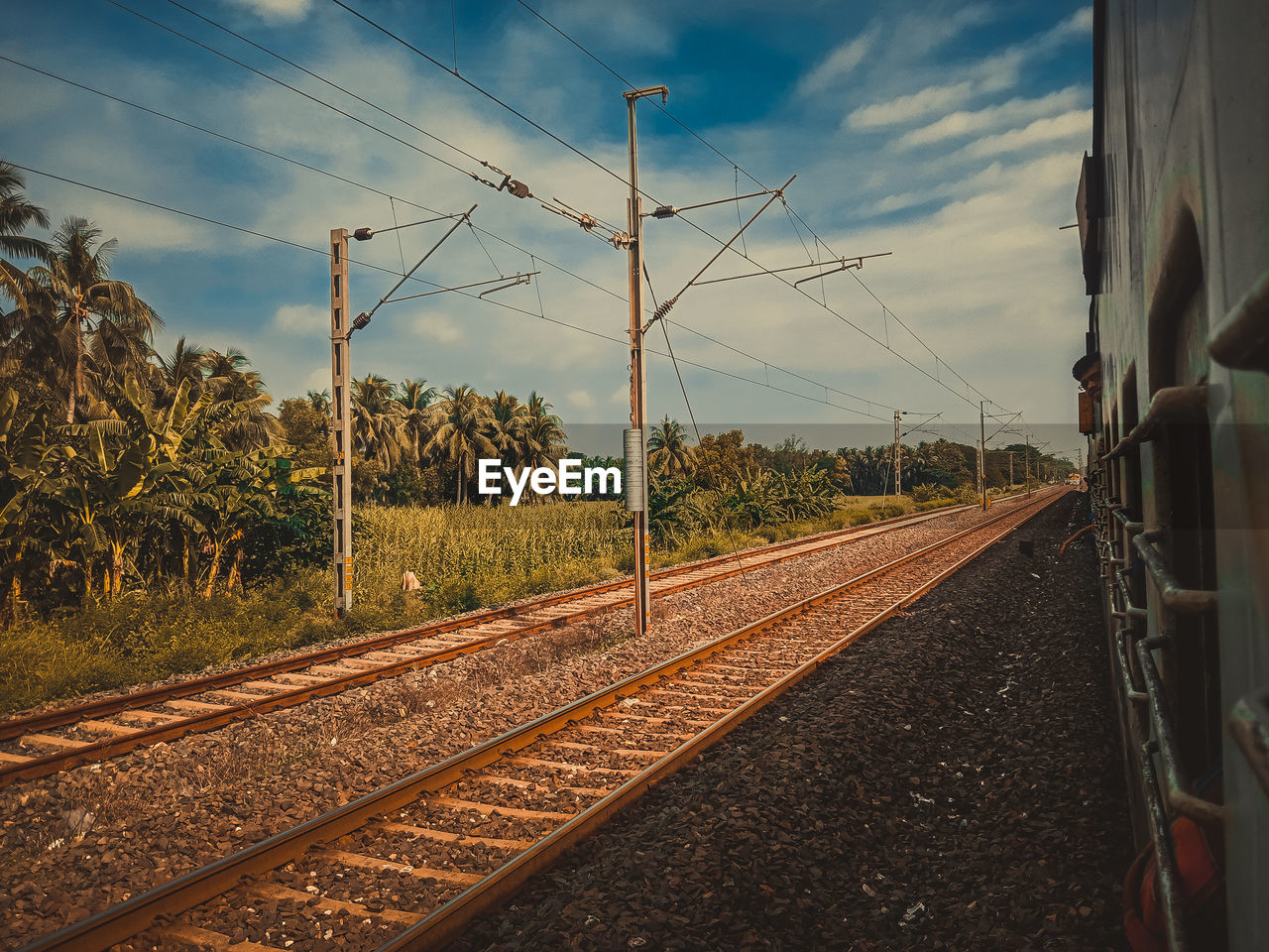 Man peeking from train by trees against sky