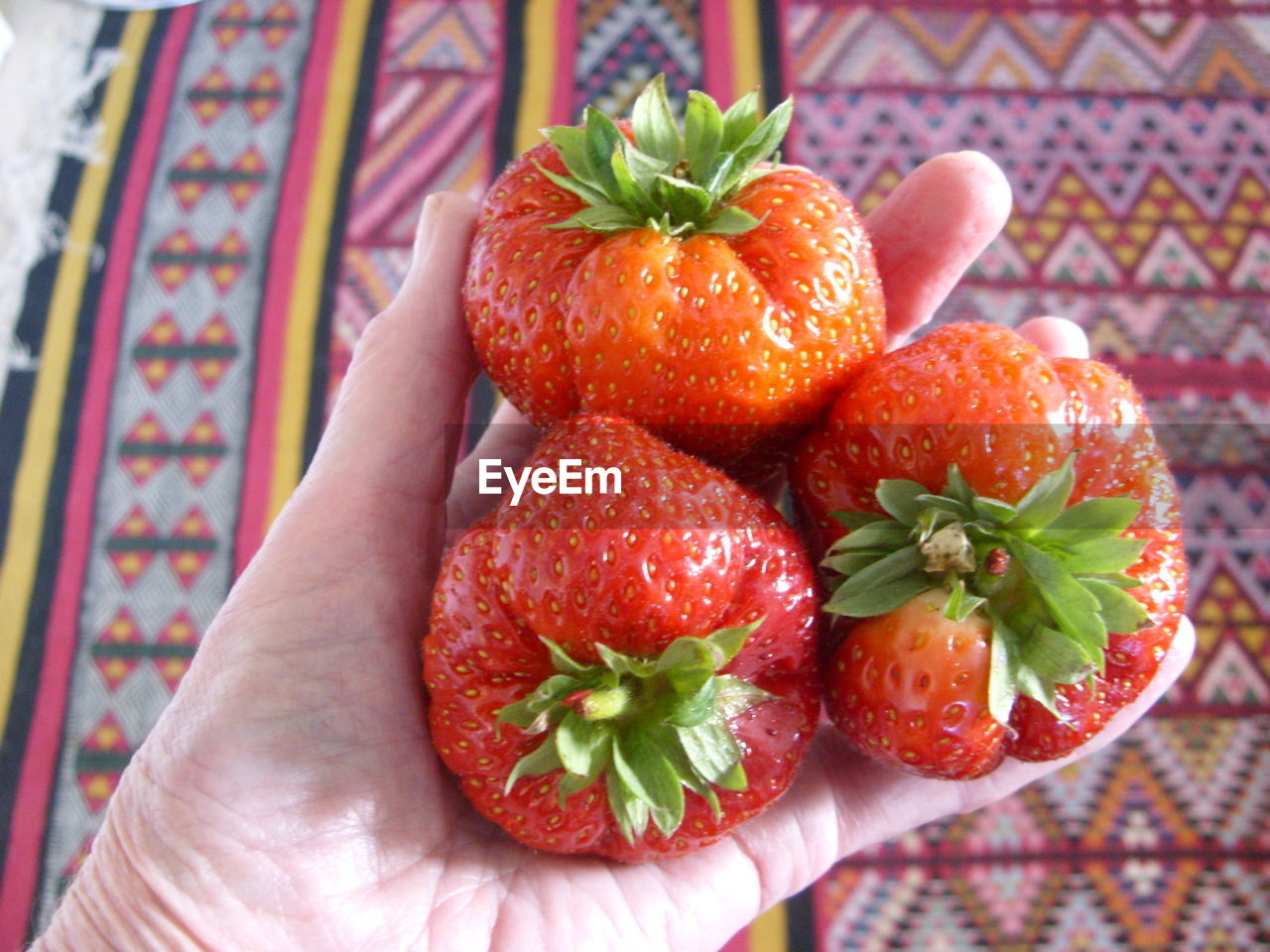 CLOSE-UP OF HAND HOLDING FRUIT ON TABLE