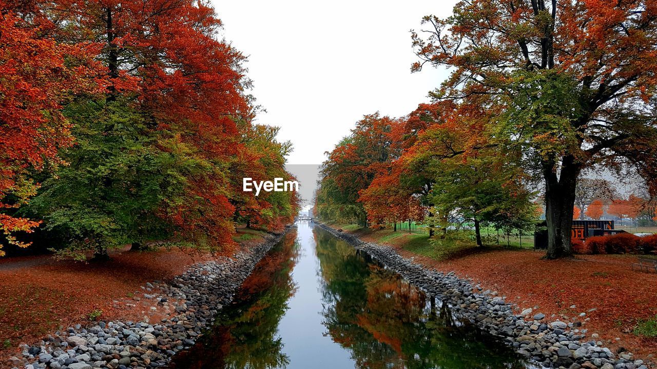 SCENIC VIEW OF TREES BY CANAL DURING AUTUMN