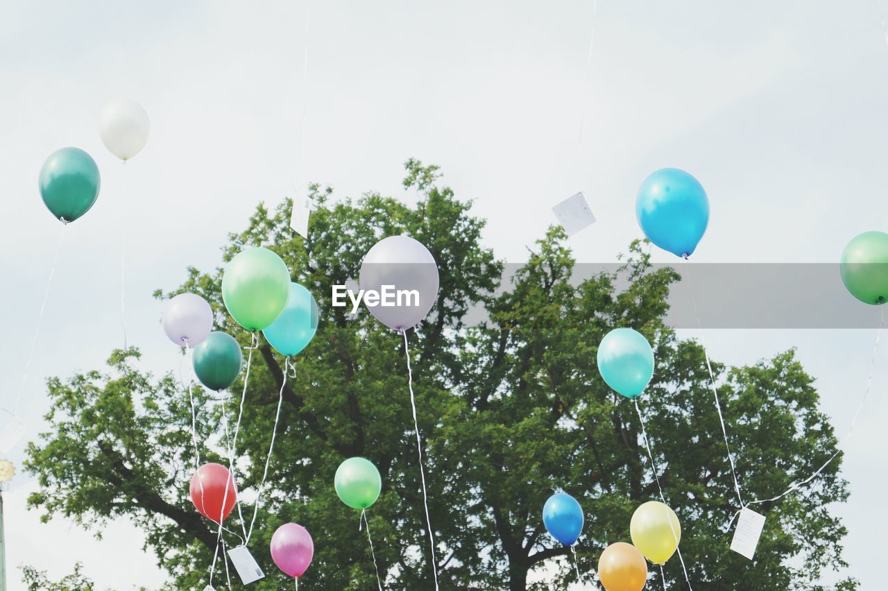 Low angle view of colorful helium balloons and trees against sky