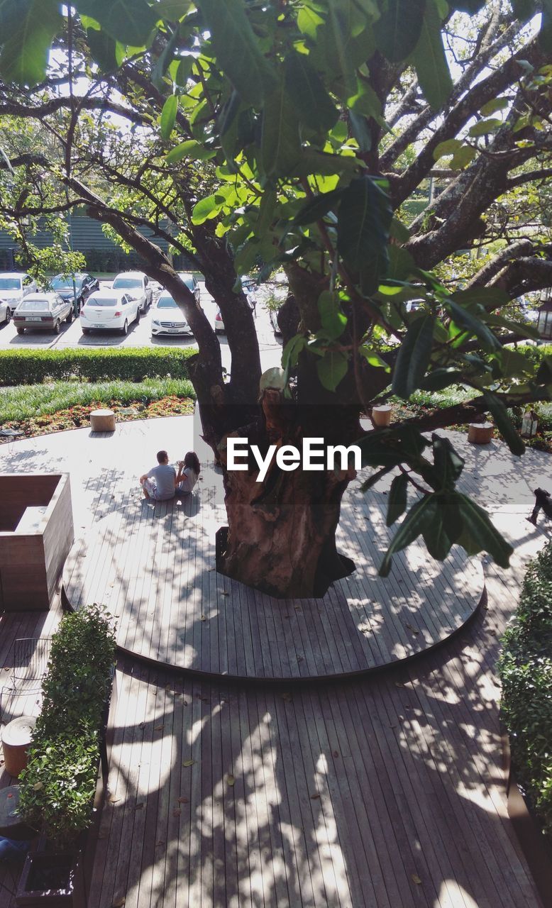 HIGH ANGLE VIEW OF STATUE BY TREE