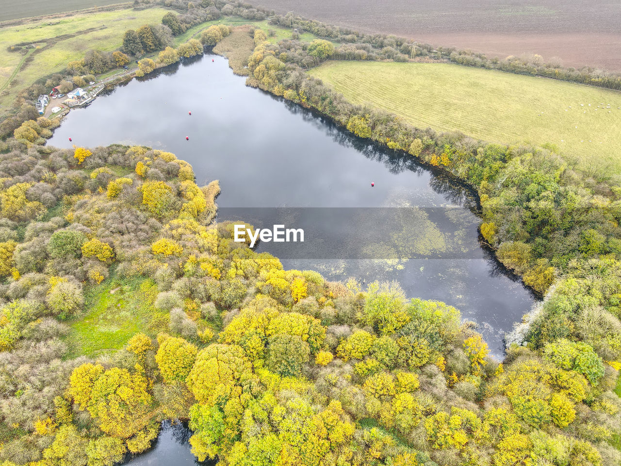 Drone photos of a lake and forest in east yorkshire, uk. autumn colours and stunning sky reflections