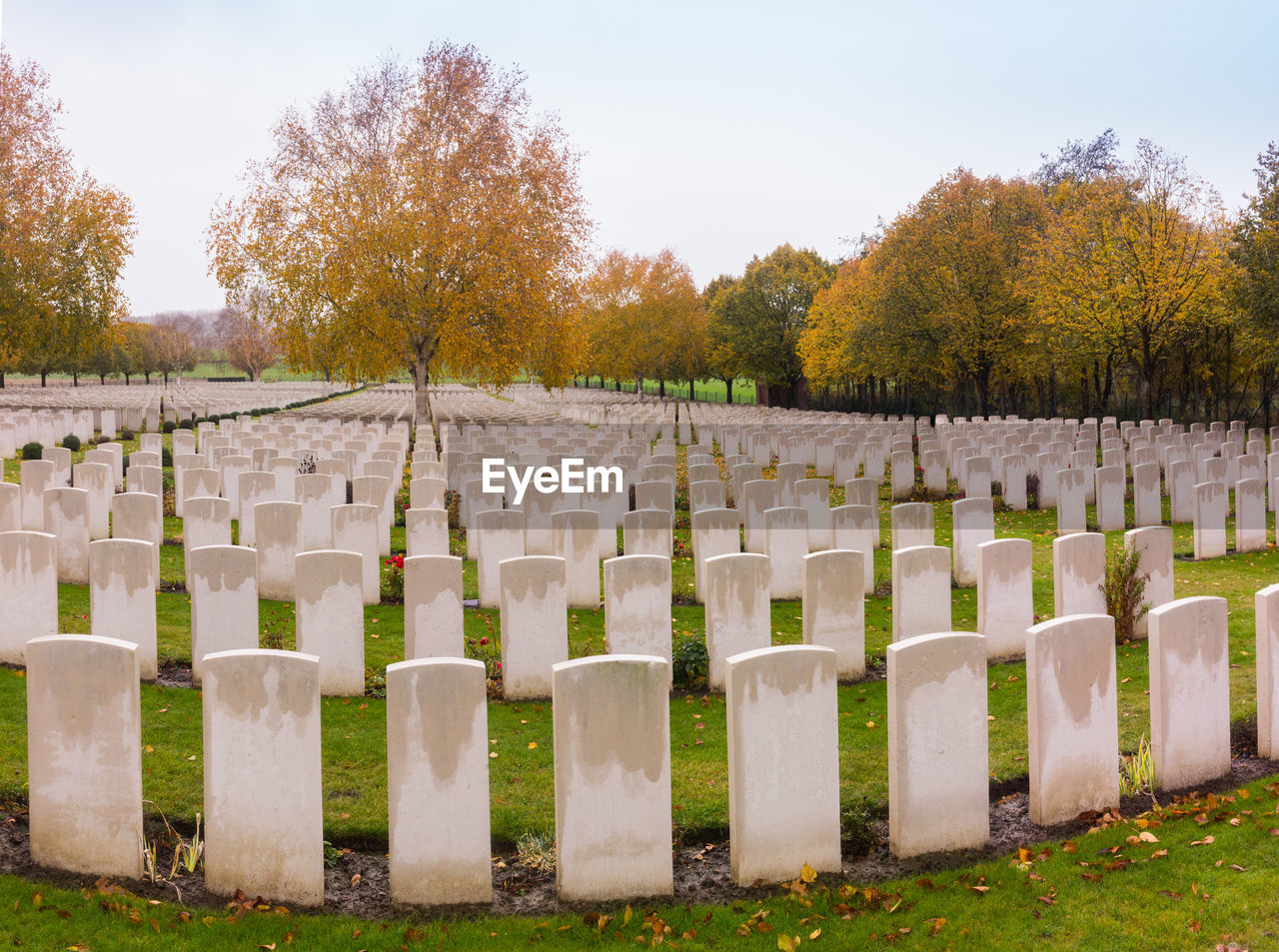 VIEW OF CEMETERY