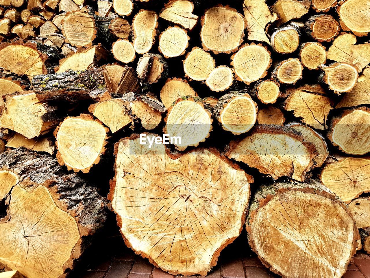 FULL FRAME SHOT OF WOODEN LOGS