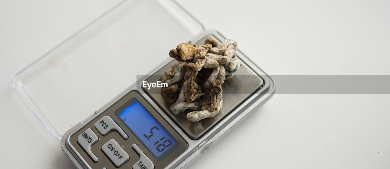 Microdosing by psilocybin mushrooms. biohacking and brain devel
