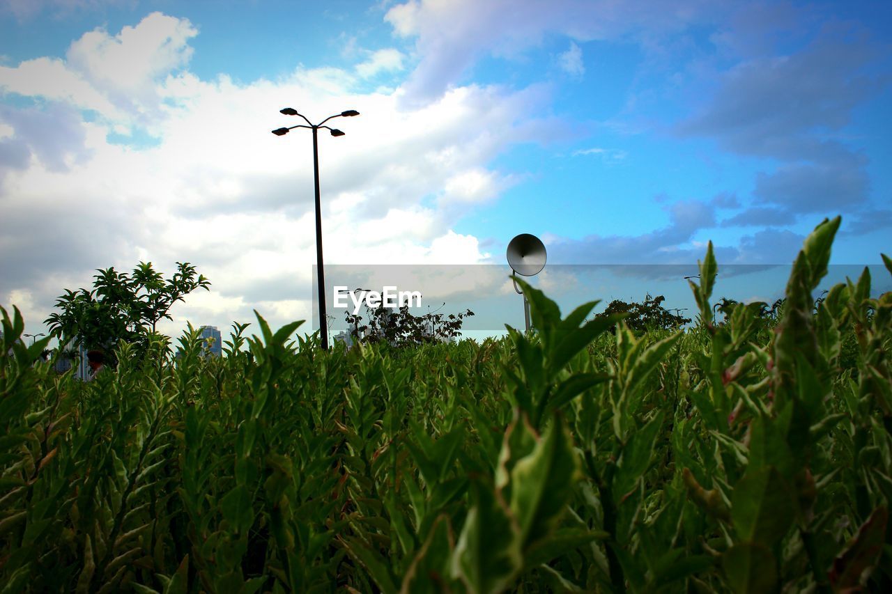 View of field against cloudy sky