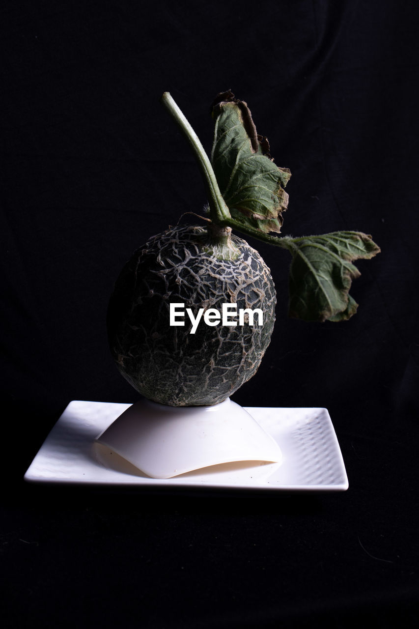 black background, food and drink, food, healthy eating, wellbeing, studio shot, still life photography, freshness, indoors, no people, still life, fruit, art, vegetable, plant part, leaf, plant, nature, black, copy space