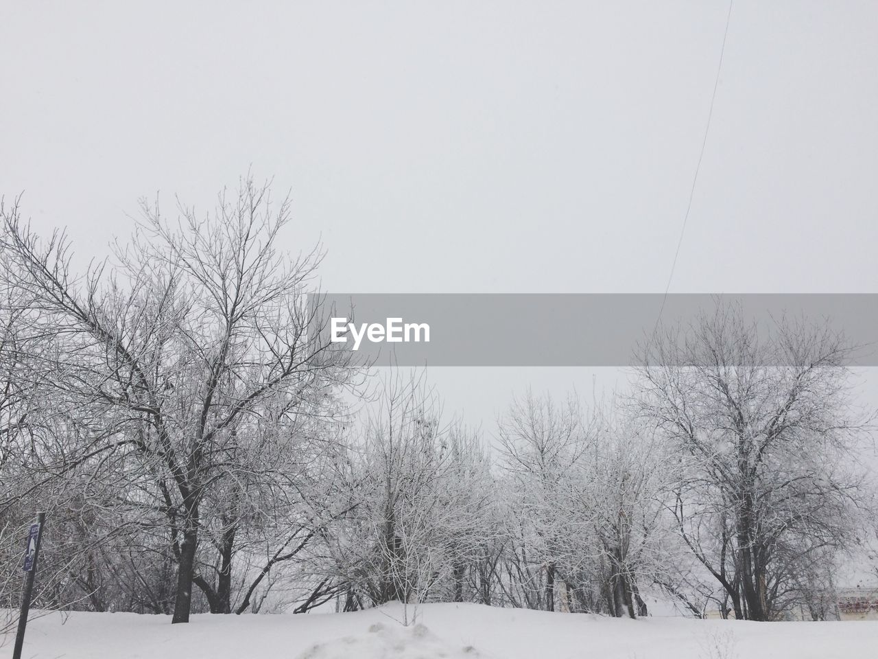 SNOW COVERED TREES AGAINST CLEAR SKY