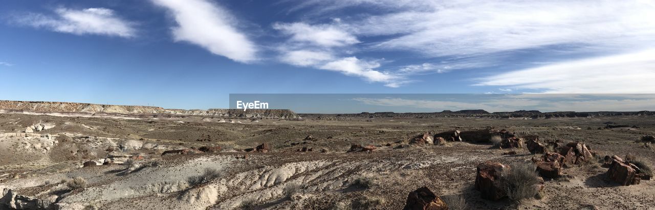 PANORAMIC VIEW OF A LANDSCAPE