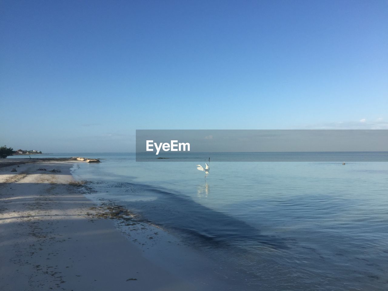 SCENIC VIEW OF BEACH AGAINST CLEAR SKY