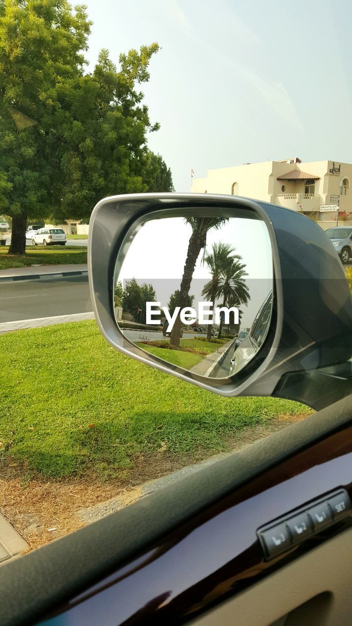 REFLECTION OF TREES ON SIDE-VIEW MIRROR