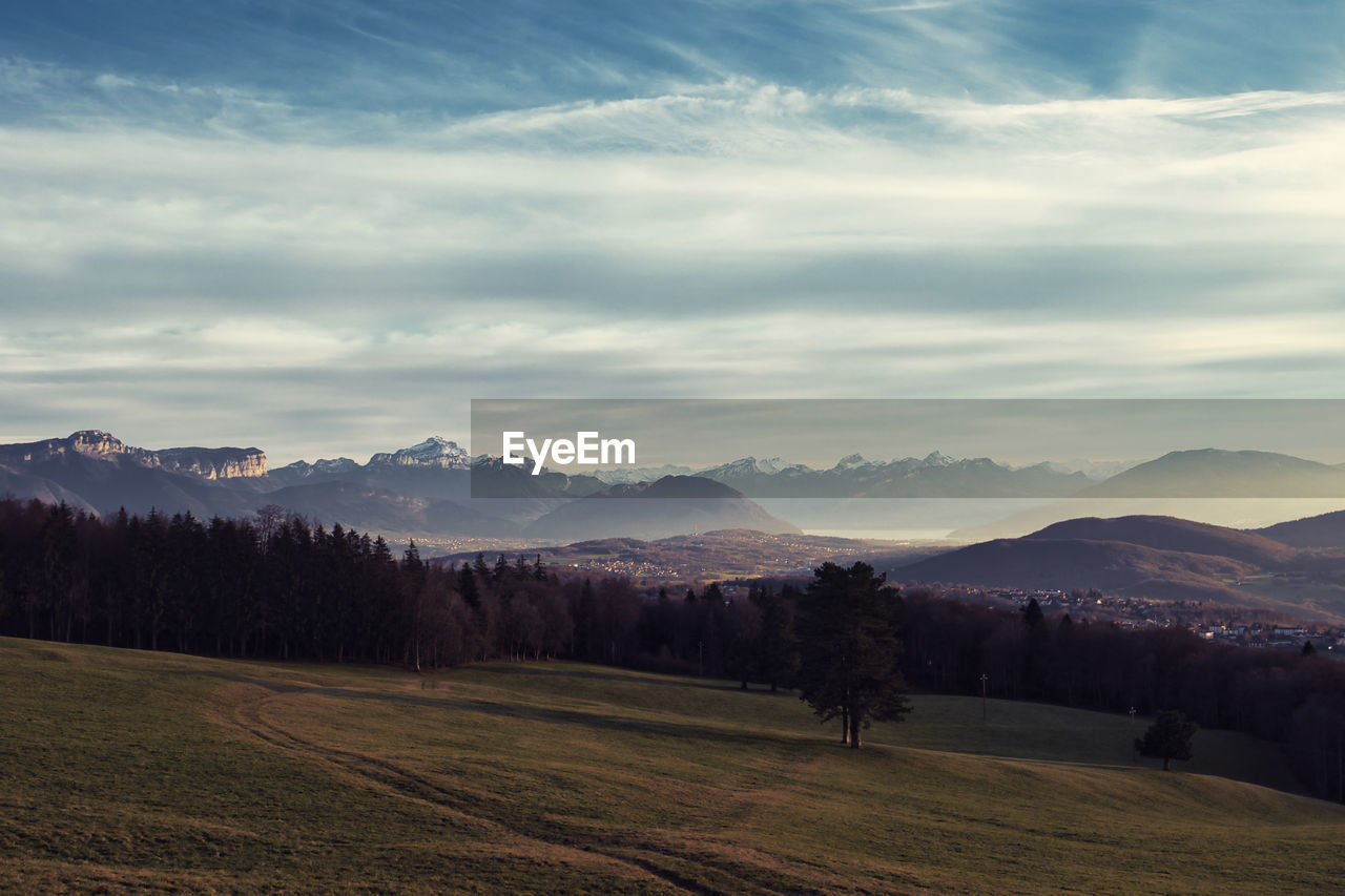 Scenic view of field against sky