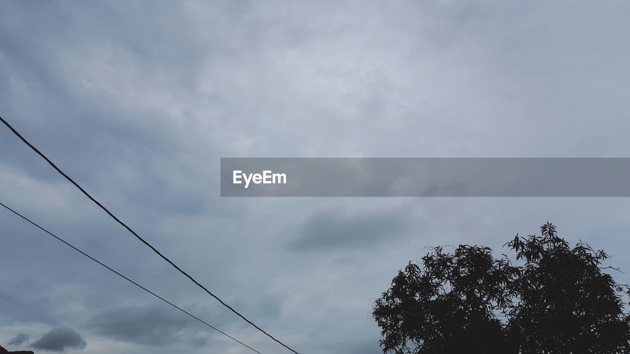 LOW ANGLE VIEW OF TREE AGAINST CLOUDY SKY