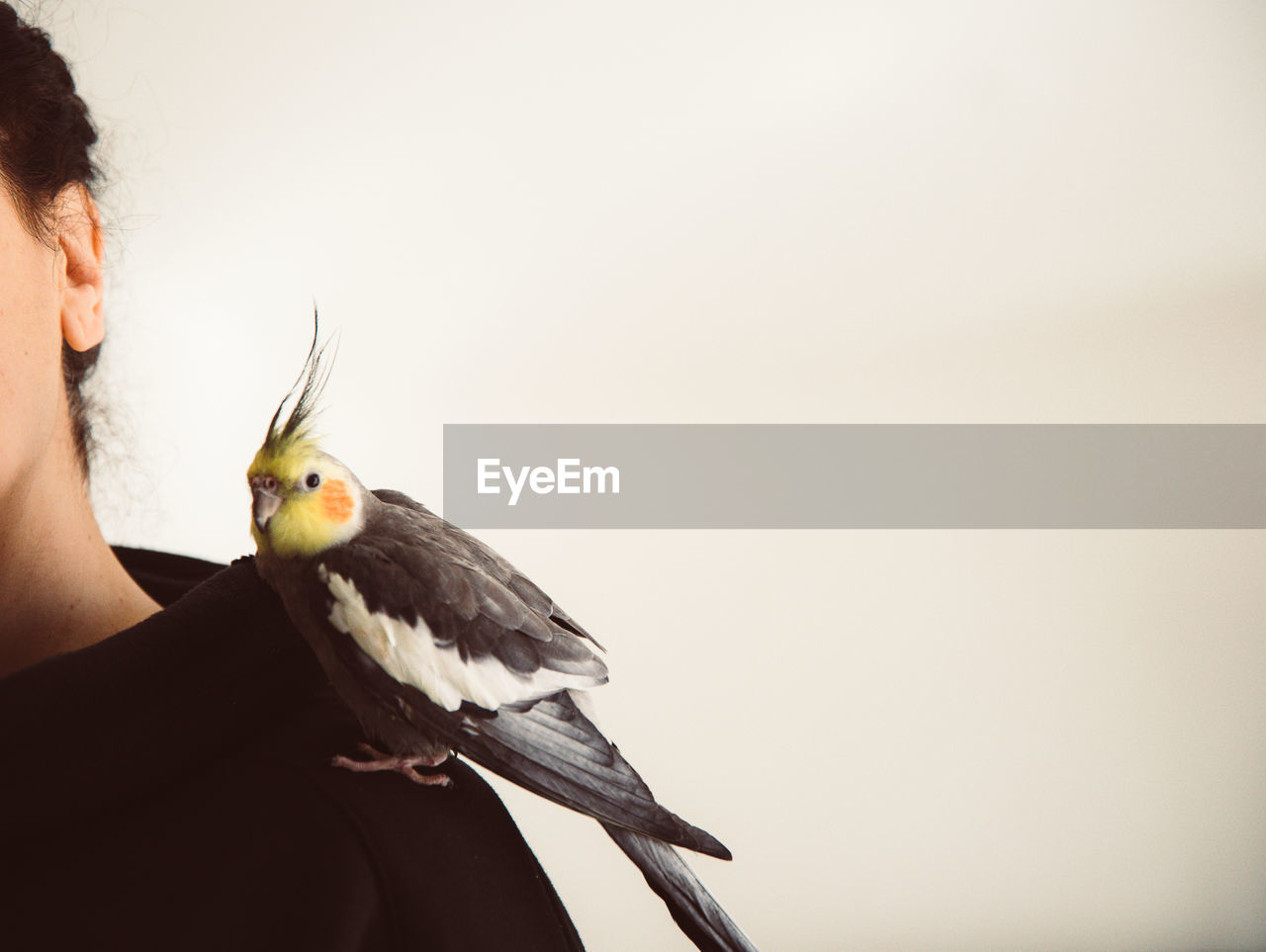 PORTRAIT OF A BIRD PERCHING ON MAN