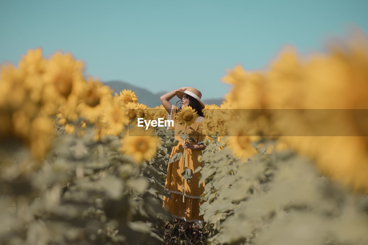 Young woman standing in sunflower field