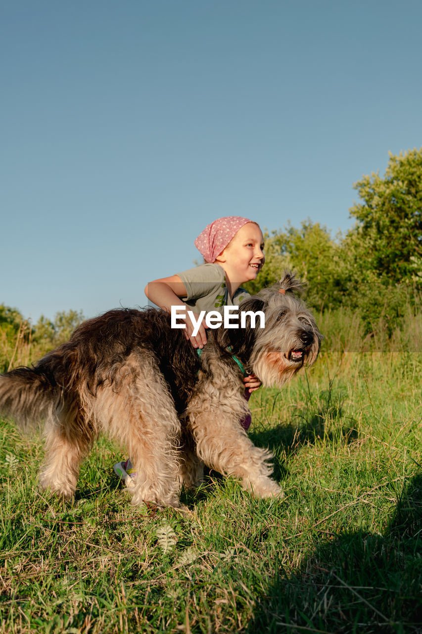 Little girl hugging playing with dog walking spending time together. child with pet in summer meadow