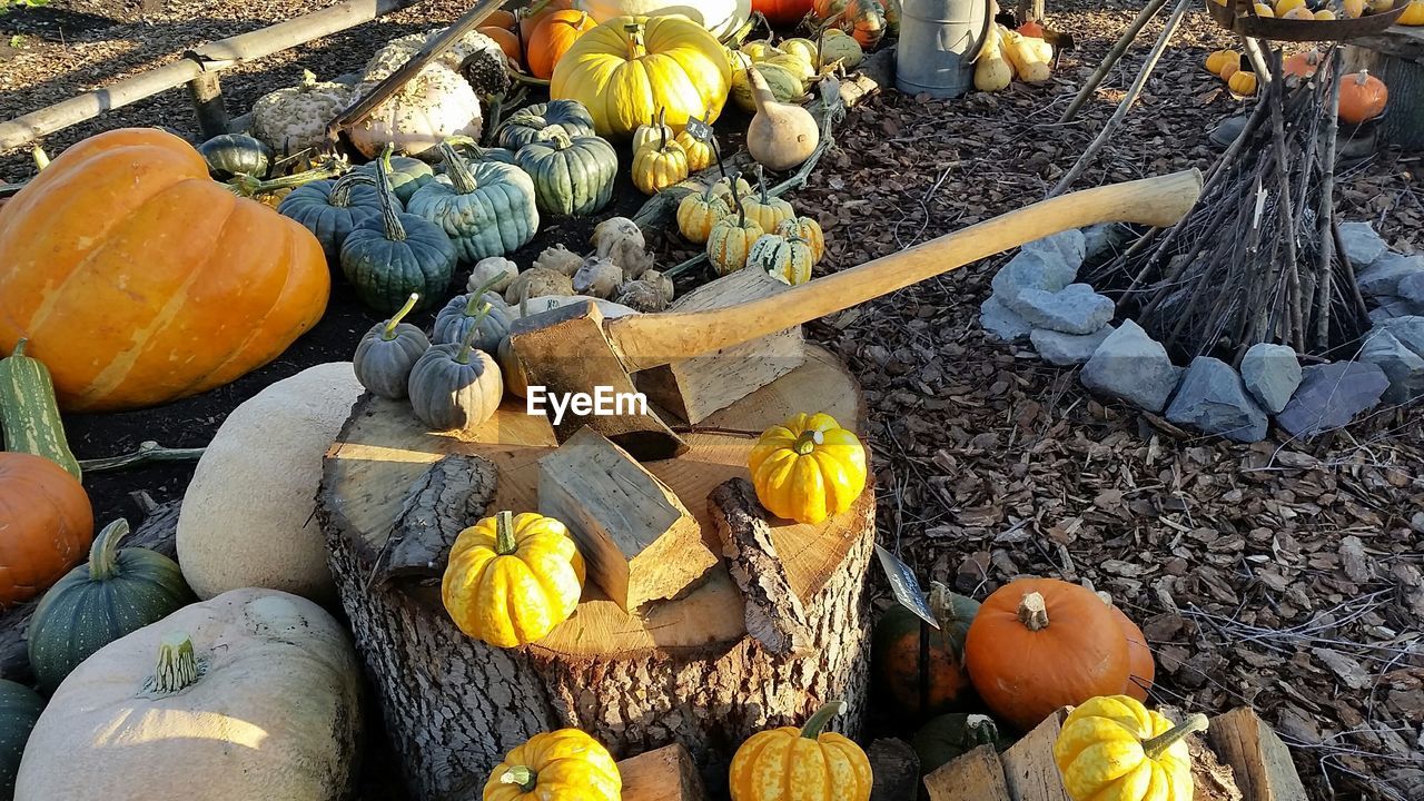 High angle view of various pumpkins with axe and tree stump