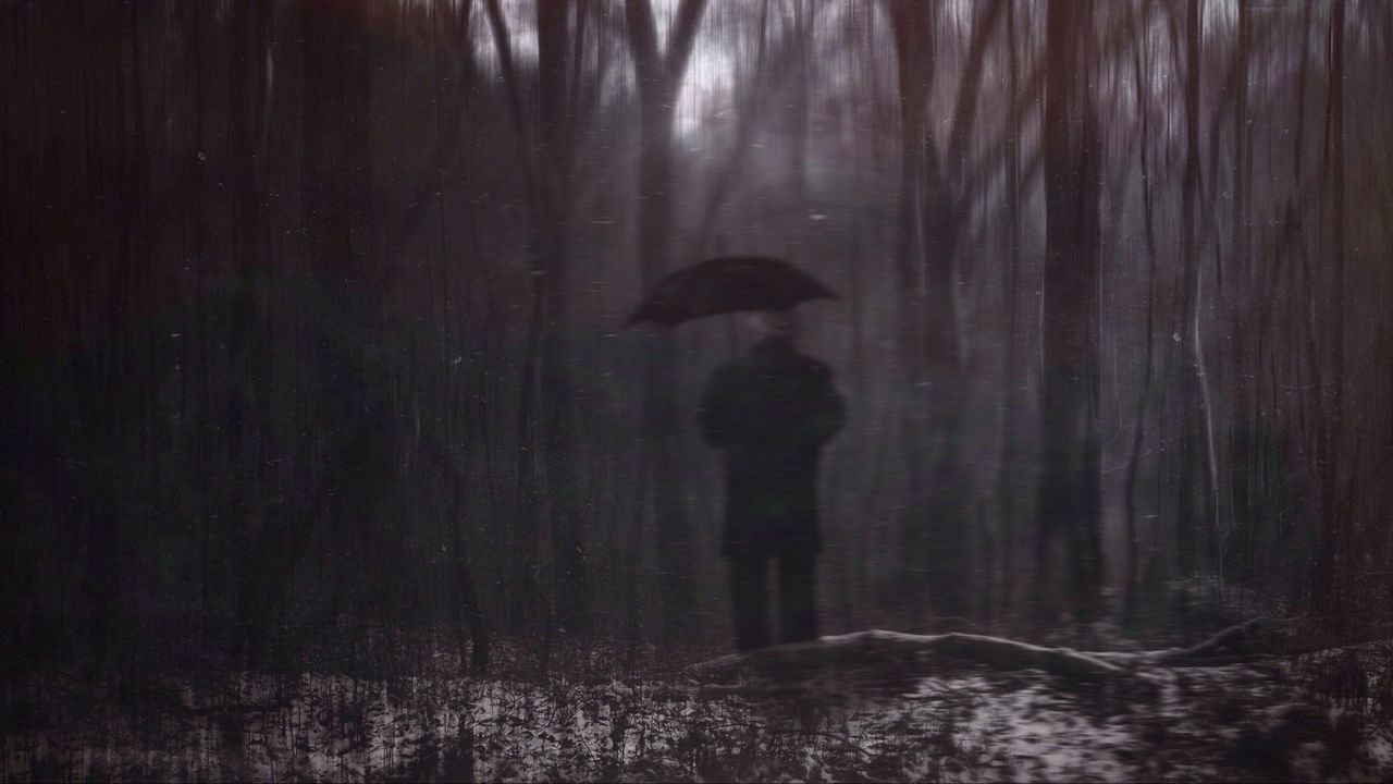 Lone person walking with umbrella in the forest