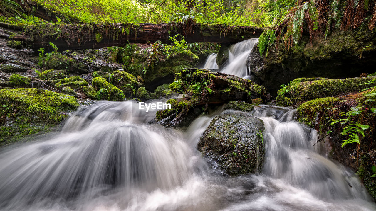 Trillium falls, orick, california.