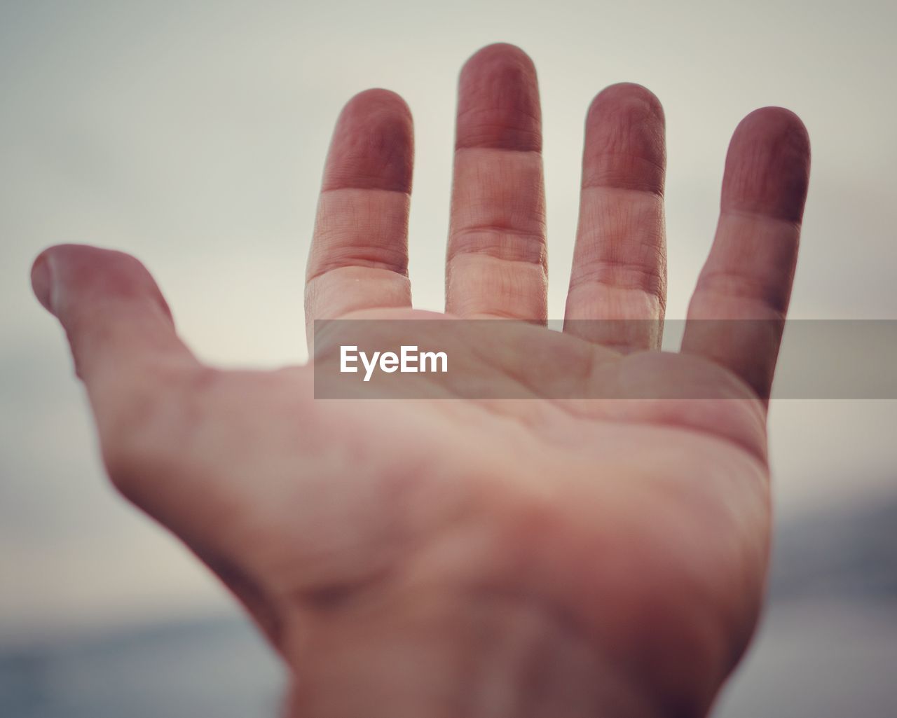 Close-up of human hand gesturing against sky