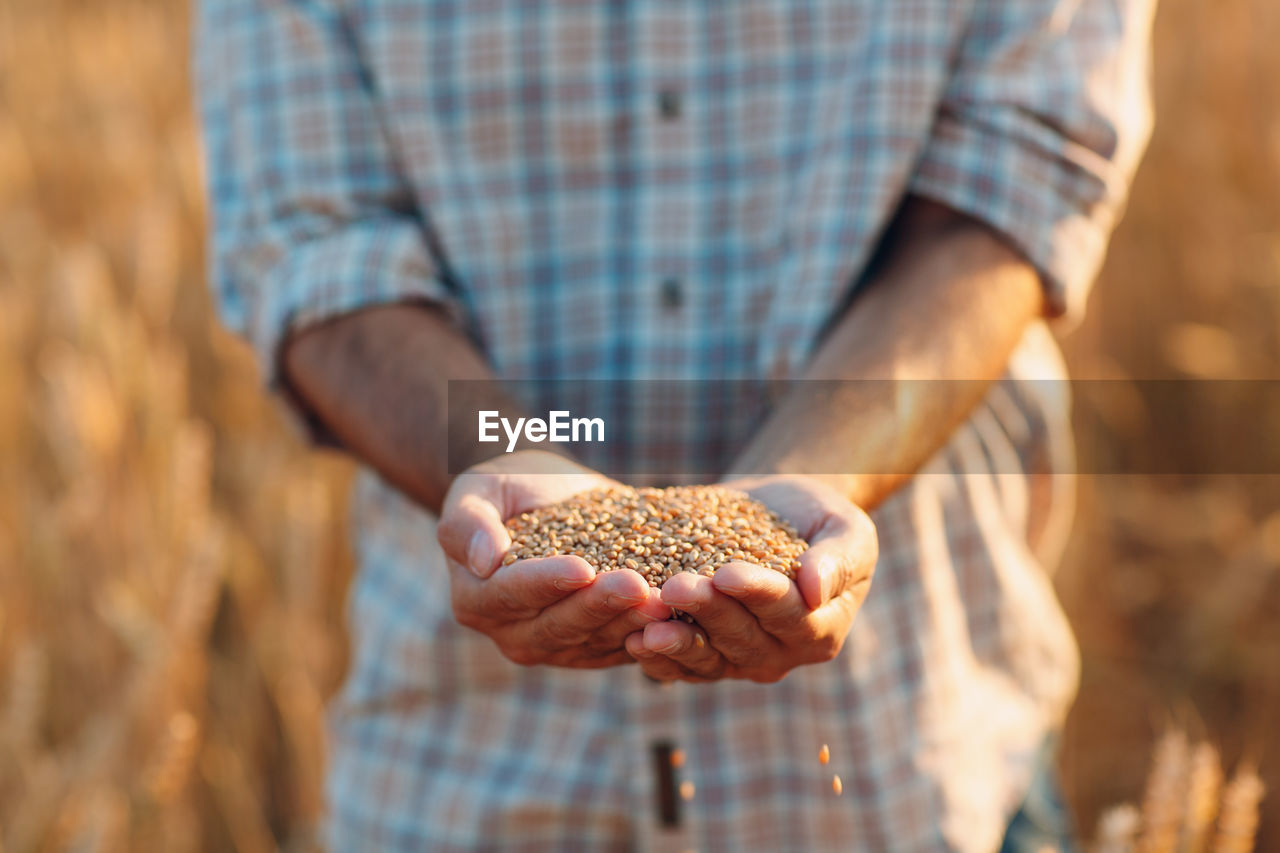 Midsection of man holding grains outdoors