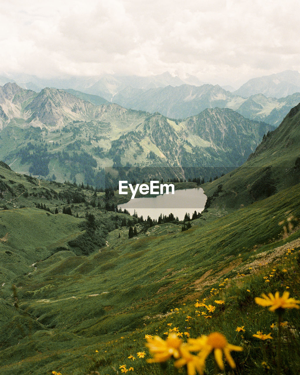 Scenic view of mountain lake somewhere near oberstdorf, germany. shot on 35mm kodak portra 800 film.