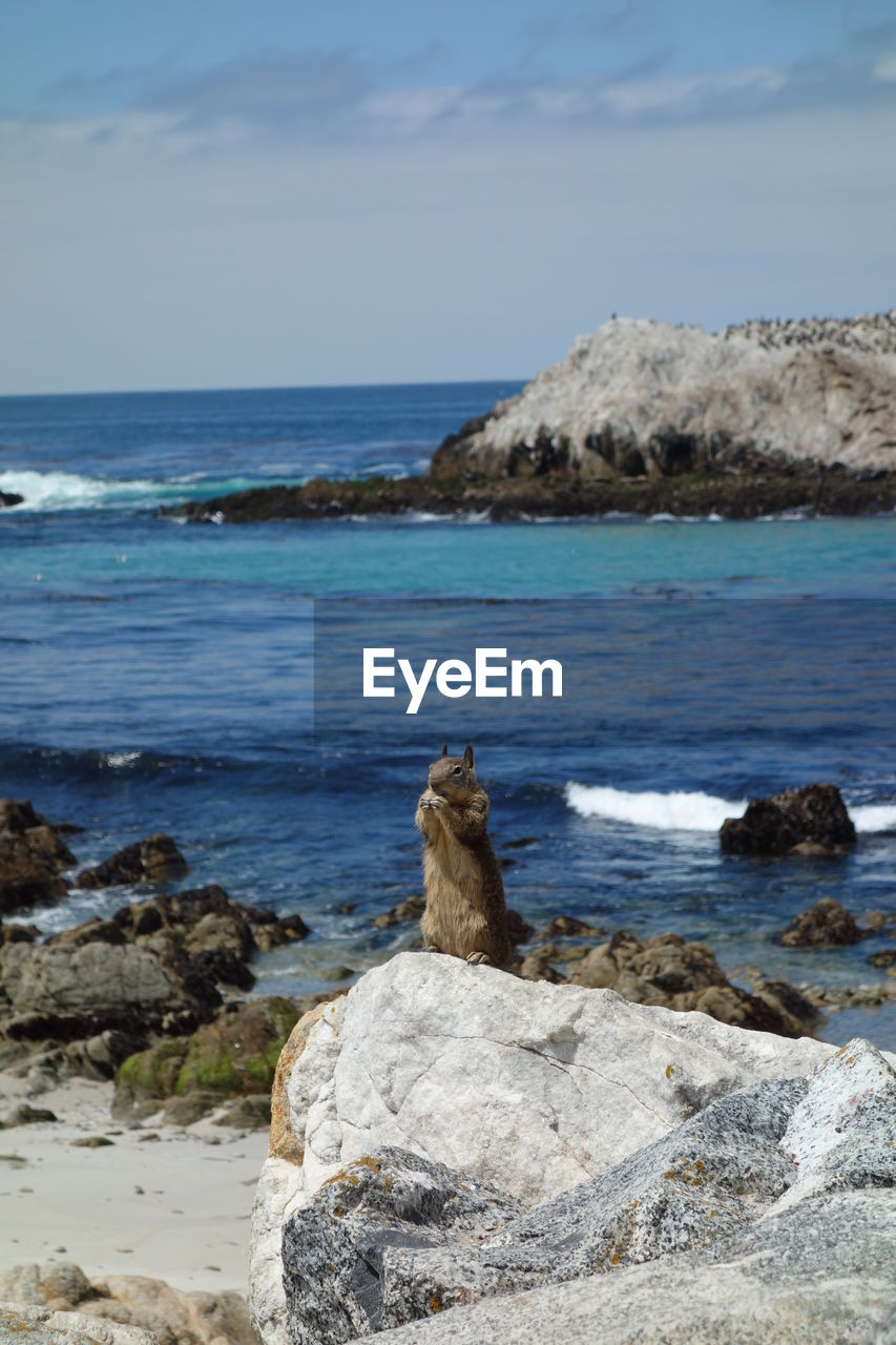 SCENIC VIEW OF ROCK FORMATION ON BEACH AGAINST SKY