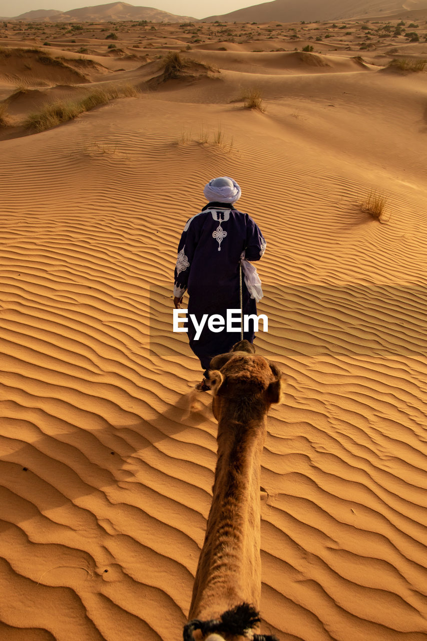 Rear view of man walking with camel on sand