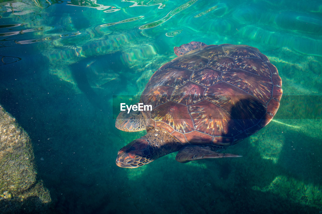 UNDERWATER VIEW OF SEA