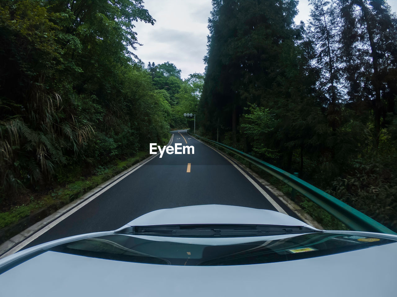 Road amidst trees seen through car windshield