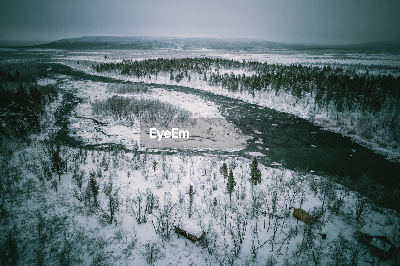 Snowy forest from aerial view