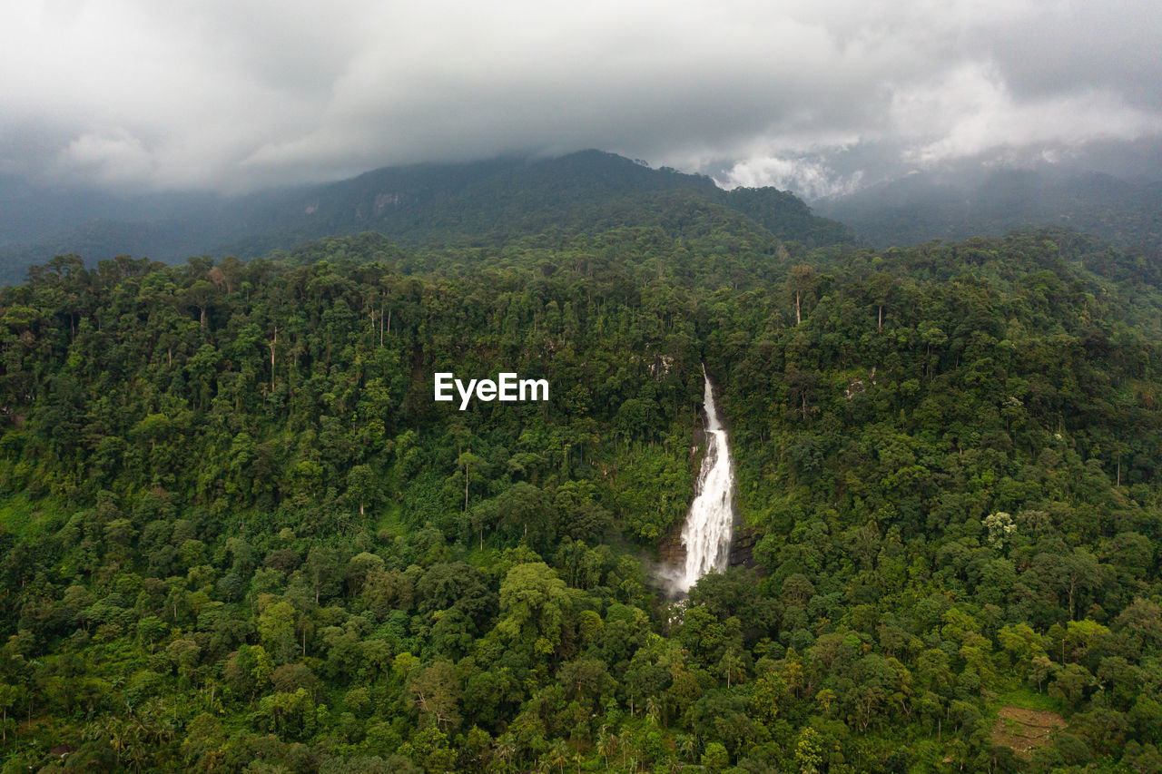 forest, environment, scenics - nature, plant, tree, mountain, cloud, landscape, nature, land, beauty in nature, rainforest, wilderness, sky, natural environment, waterfall, fog, green, travel, no people, water, travel destinations, jungle, mountain range, foliage, lush foliage, outdoors, tourism, non-urban scene, ridge, social issues, plateau, tranquility, day, environmental conservation, hill station, overcast, tranquil scene, valley, growth, highland, high angle view, vacation, high up, holiday