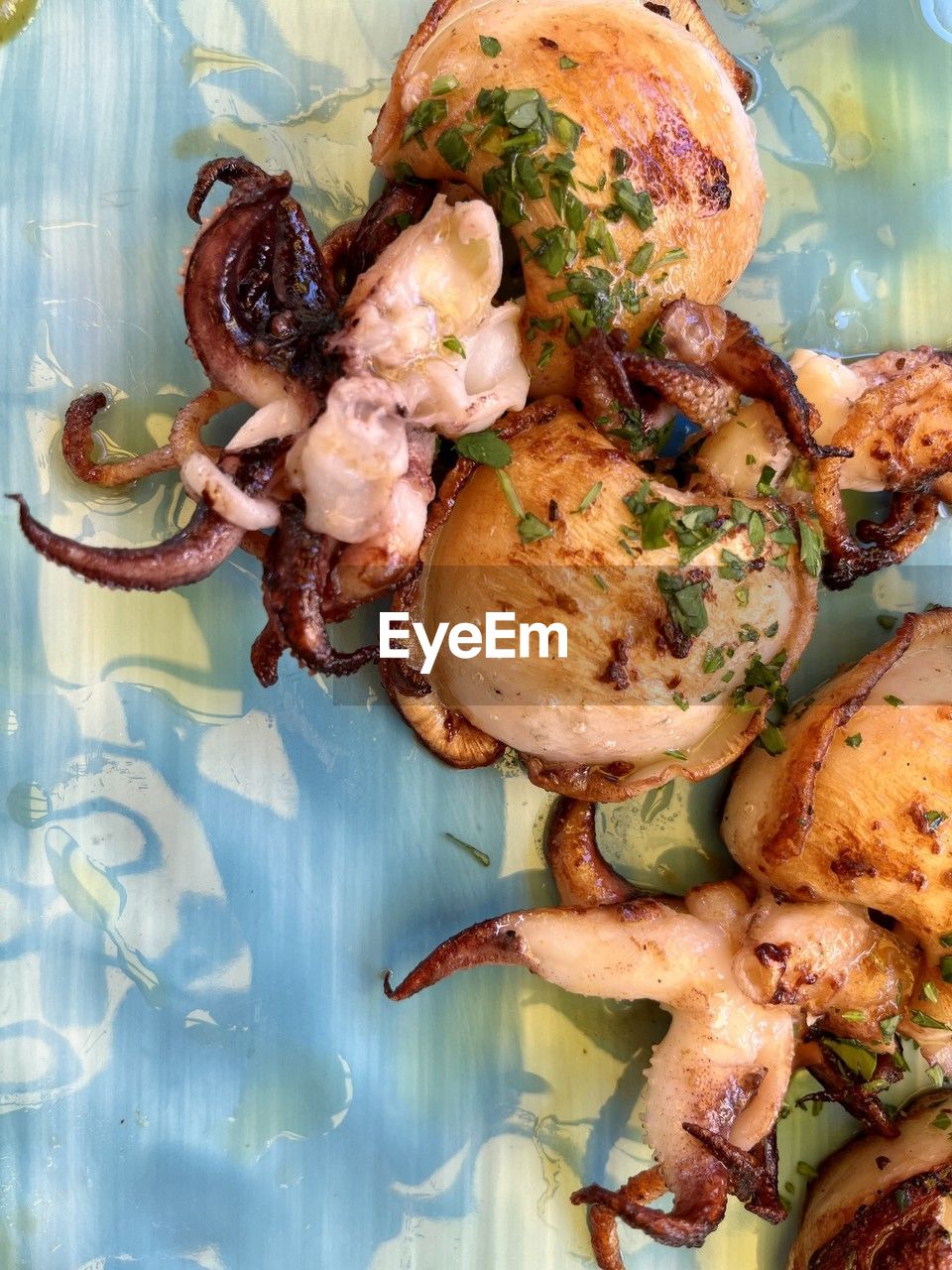 food, food and drink, healthy eating, vegetable, freshness, wellbeing, dish, meat, roasted, produce, meal, indoors, no people, high angle view, still life, directly above, herb, chicken meat, chicken, spice, dinner, seafood