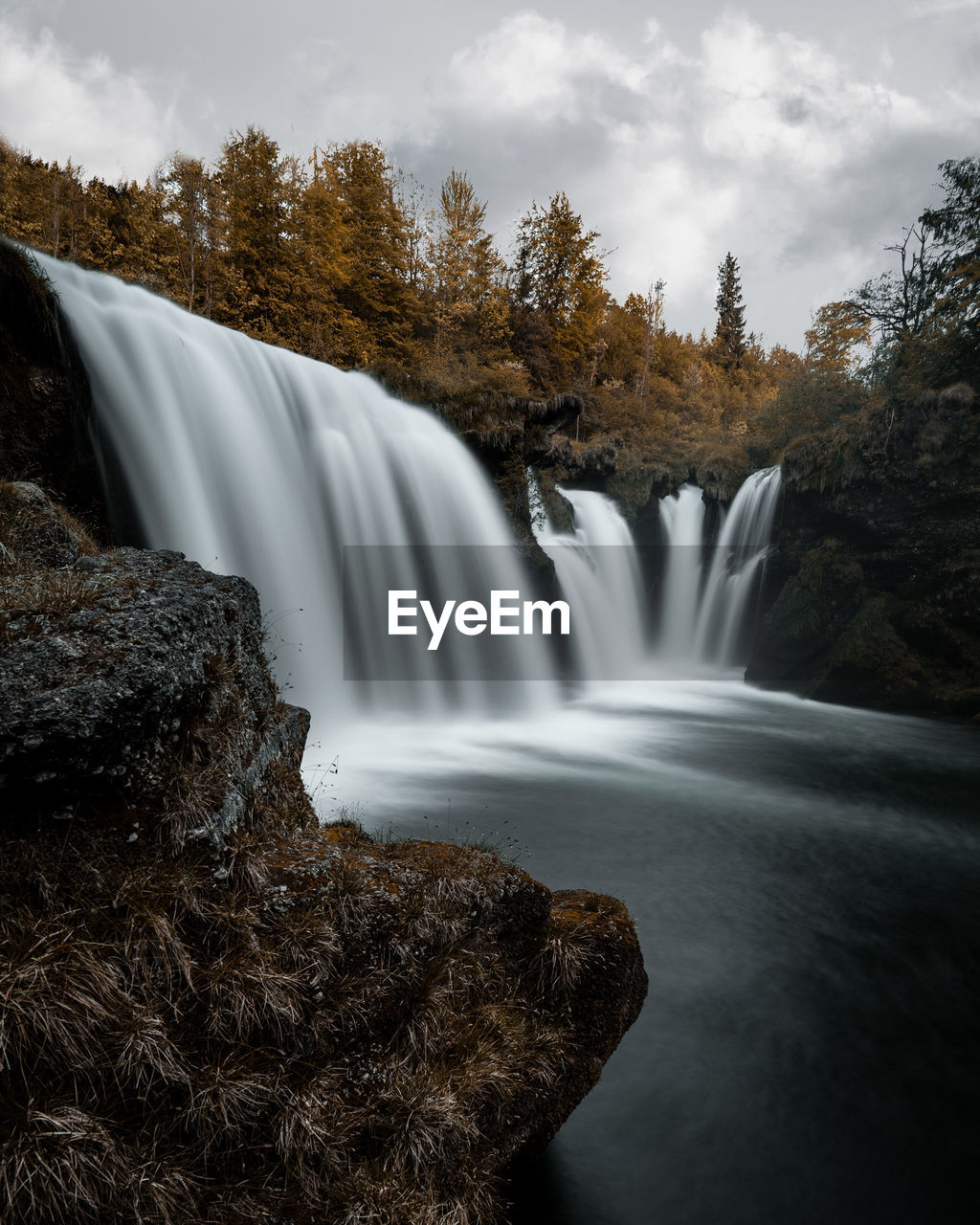 VIEW OF WATERFALL IN FOREST