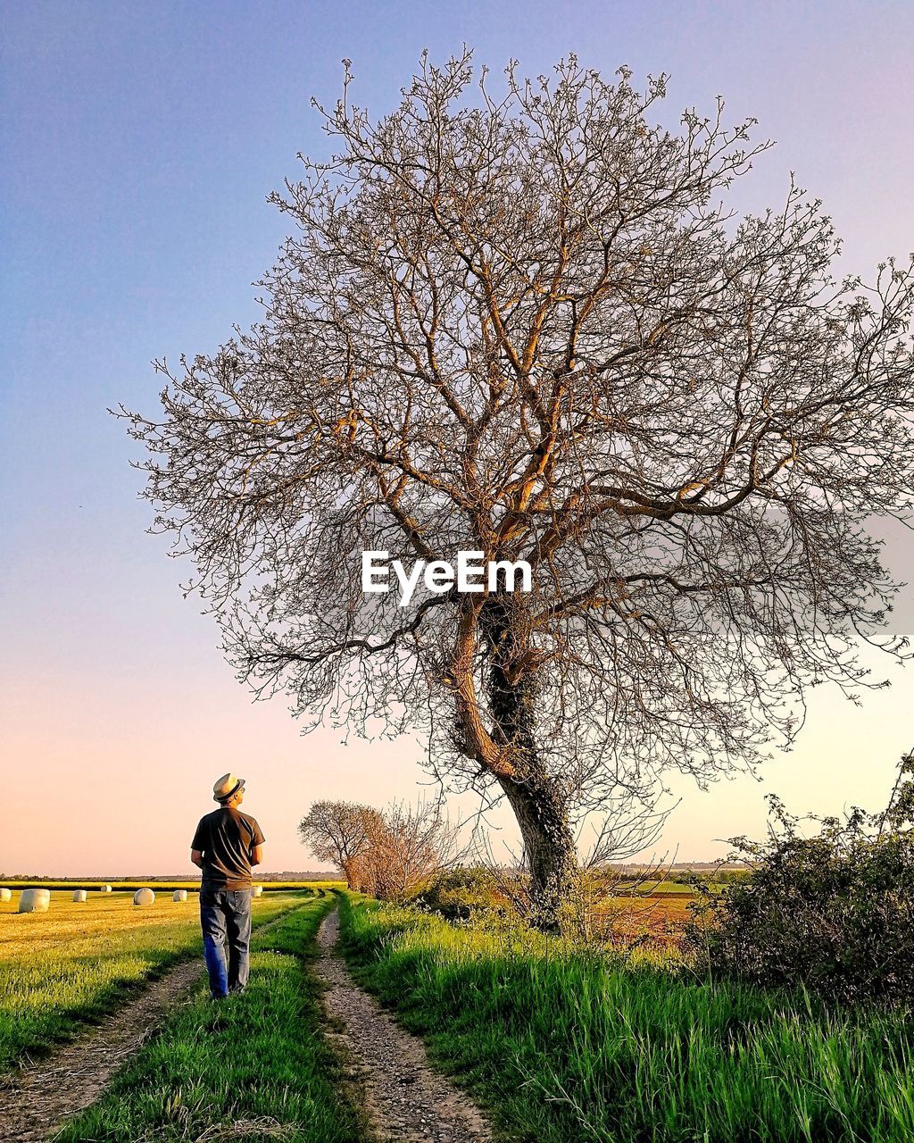 Rear view of man standing on field against sky