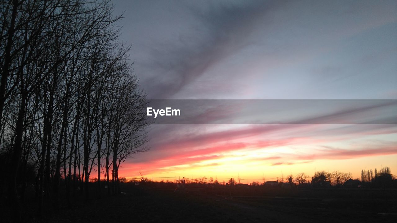 SILHOUETTE BARE TREES AGAINST SKY DURING SUNSET