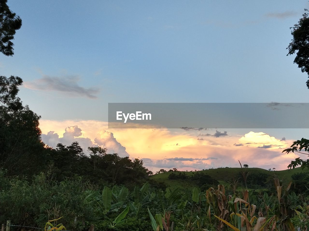 SCENIC VIEW OF FIELD AGAINST SKY DURING SUNSET