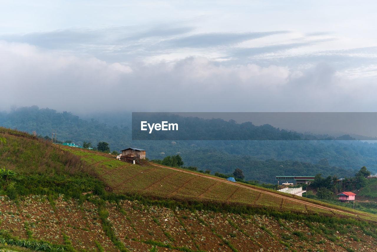 Farmer's hut on the hill with fog over the hill background in petchaboon province, thailand