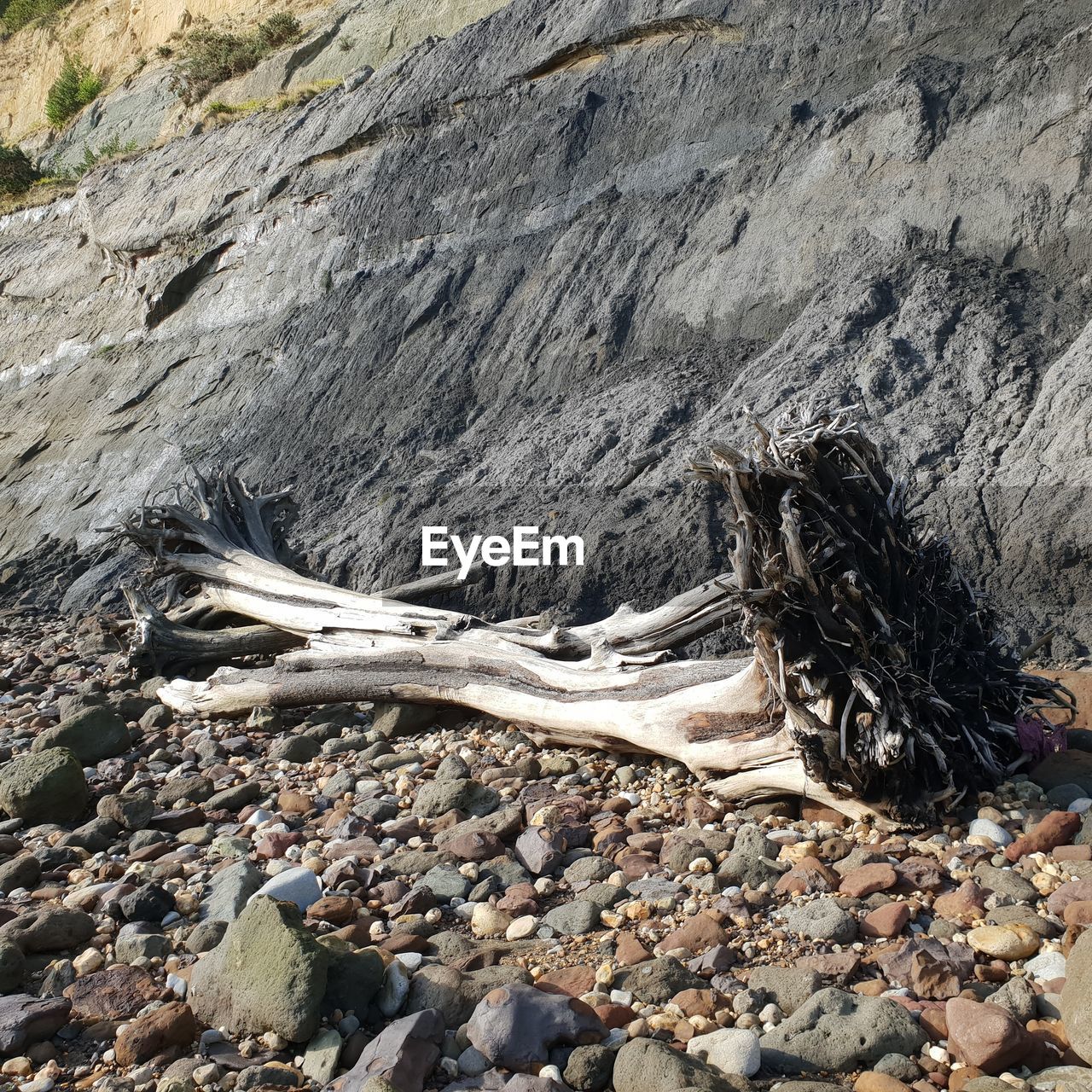 View of driftwood on beach