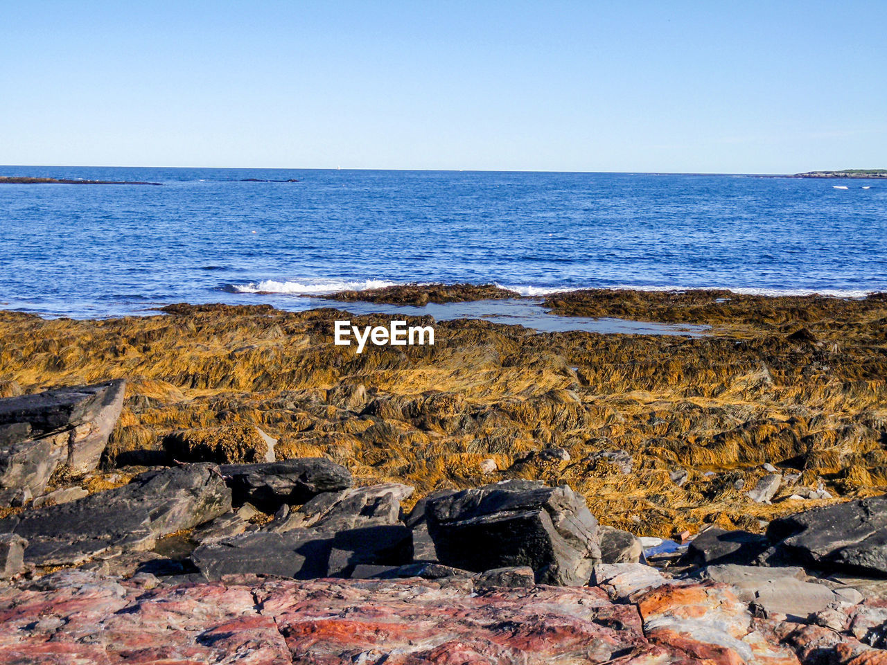 SCENIC VIEW OF ROCKY SHORE AGAINST CLEAR SKY