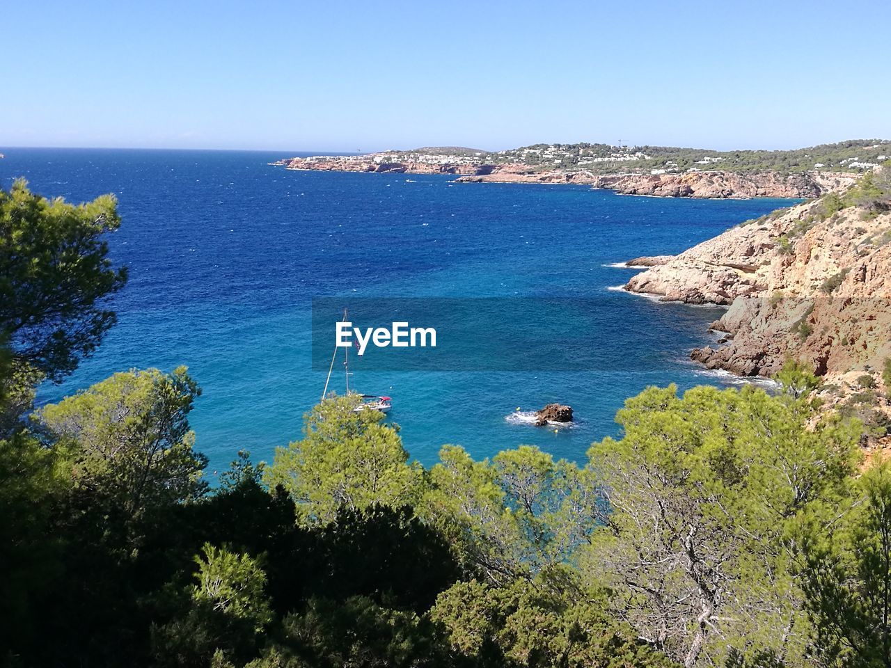 HIGH ANGLE VIEW OF TREES BY SEA AGAINST CLEAR SKY