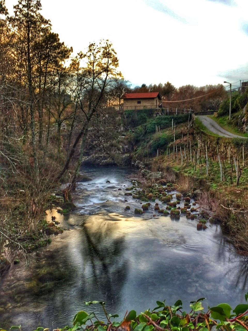 SCENIC VIEW OF RIVER FLOWING THROUGH ROCKS