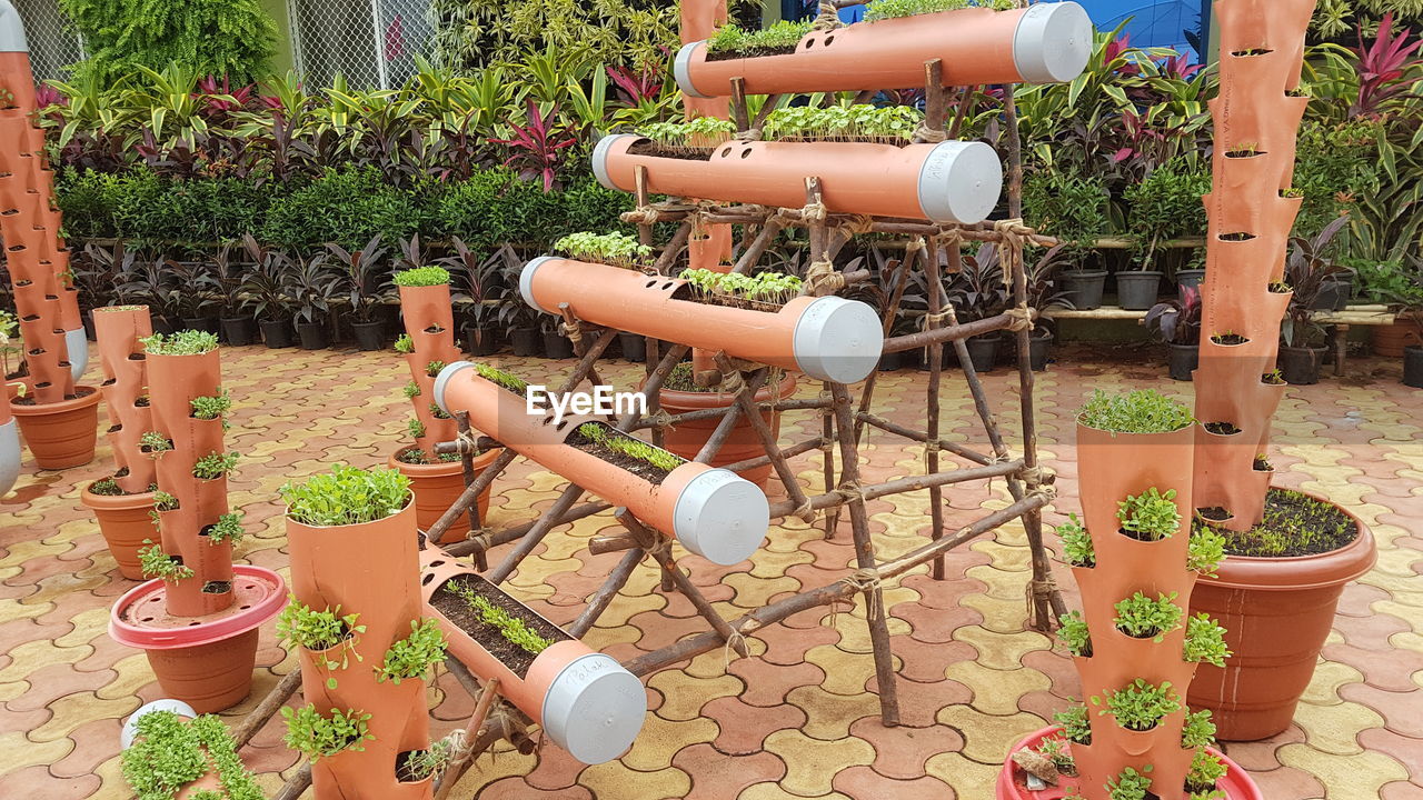 CLOSE-UP OF POTTED PLANT HANGING ON CLOTHESLINE