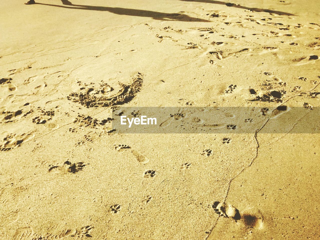 HIGH ANGLE VIEW OF SANDY BEACH